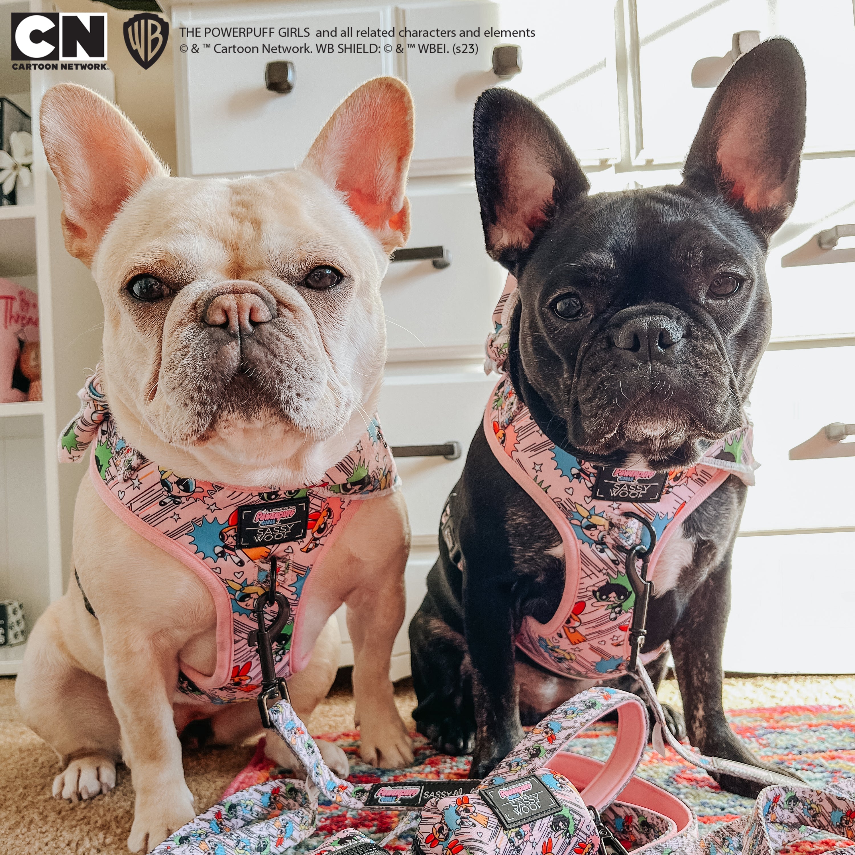 Dog Adjustable Harness - The Powerpuff Girls™ (Pink)
