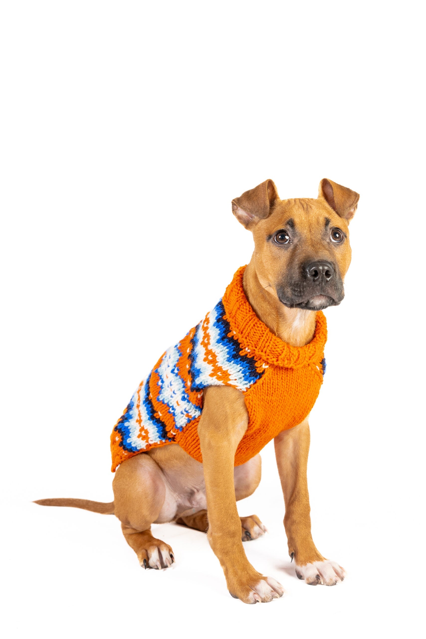 Campfire Dog Sweater