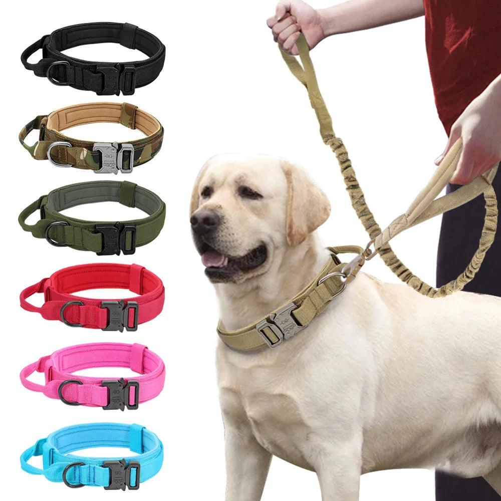 The Tactical Luxe Collar & Leash
