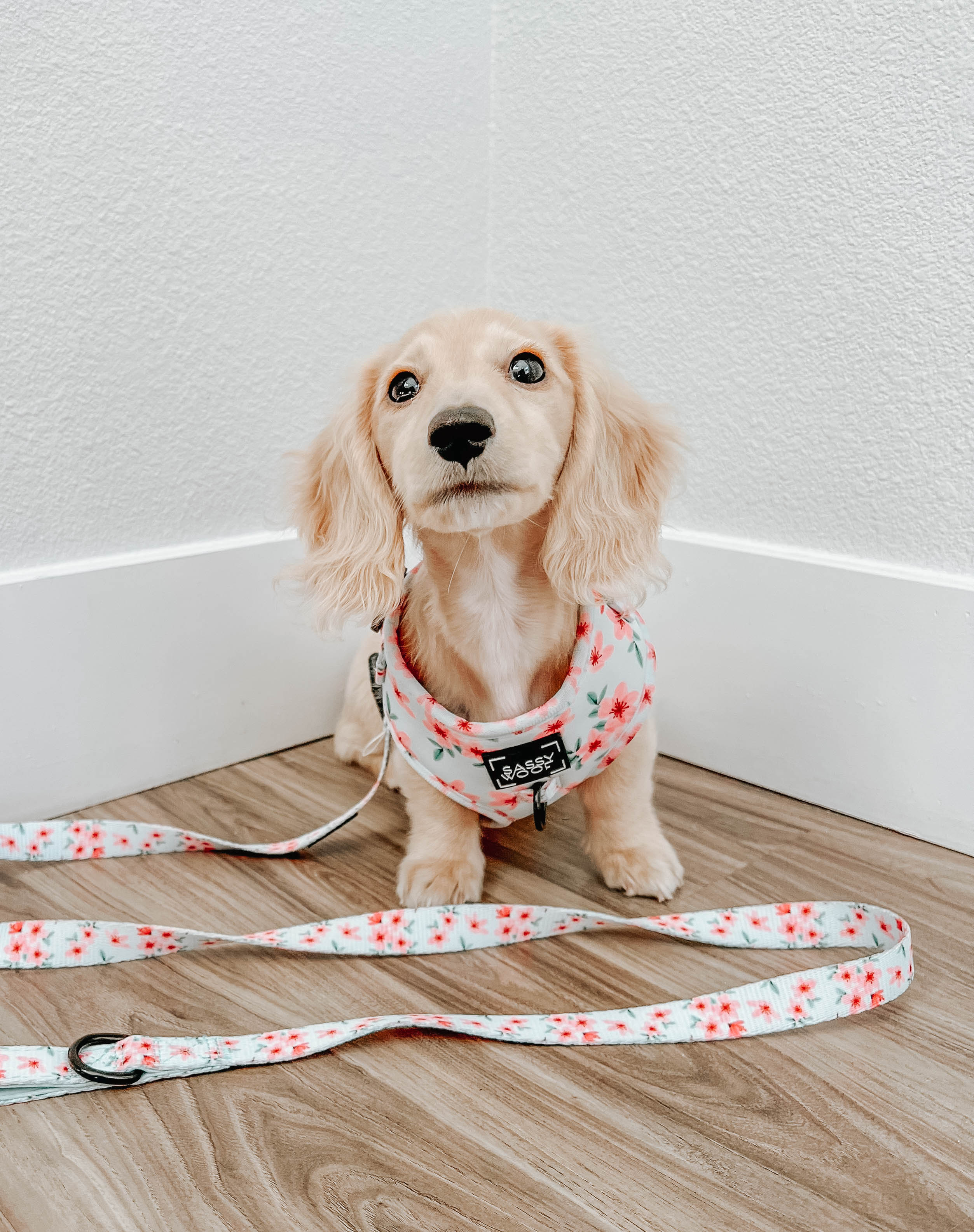 Dog Adjustable Harness - Sakura
