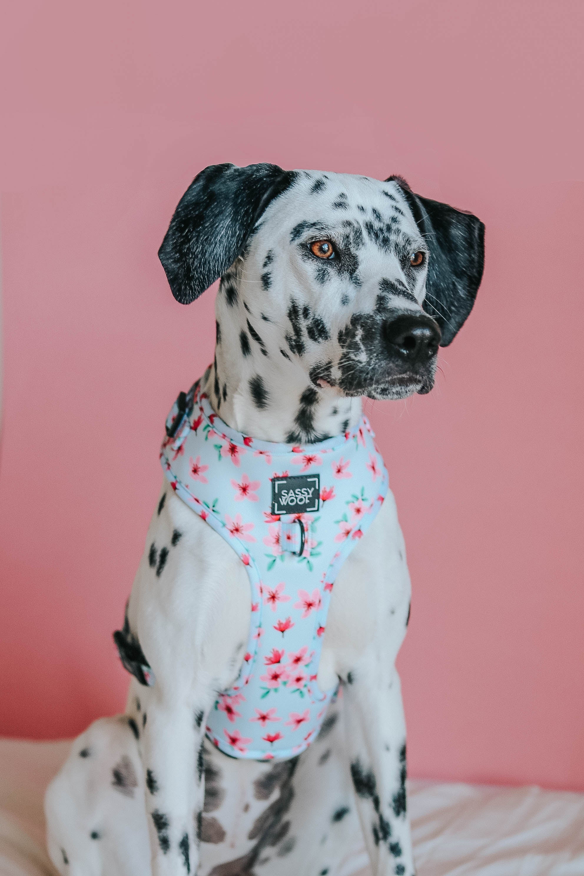 Dog Adjustable Harness - Sakura