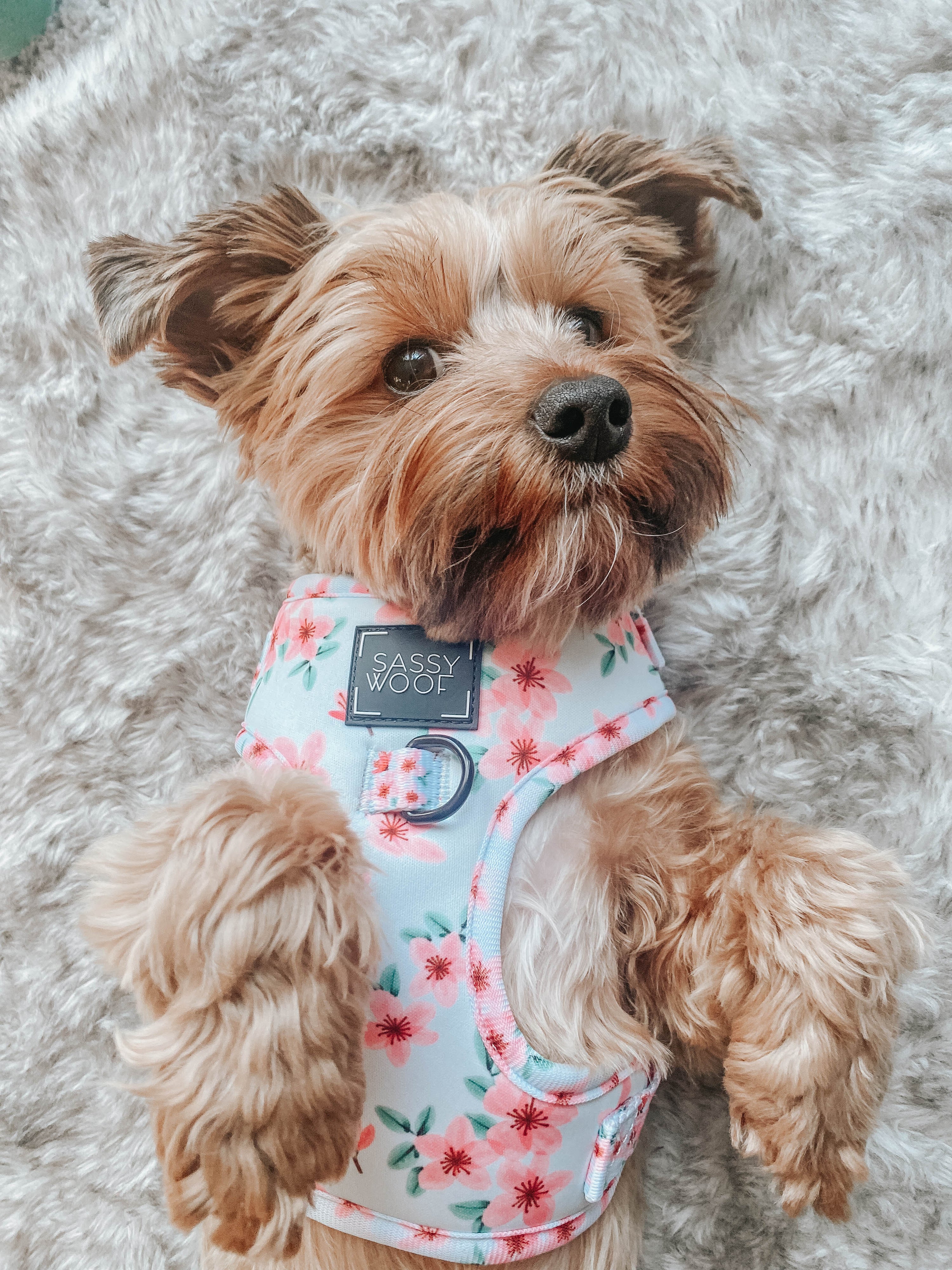 Dog Adjustable Harness - Sakura