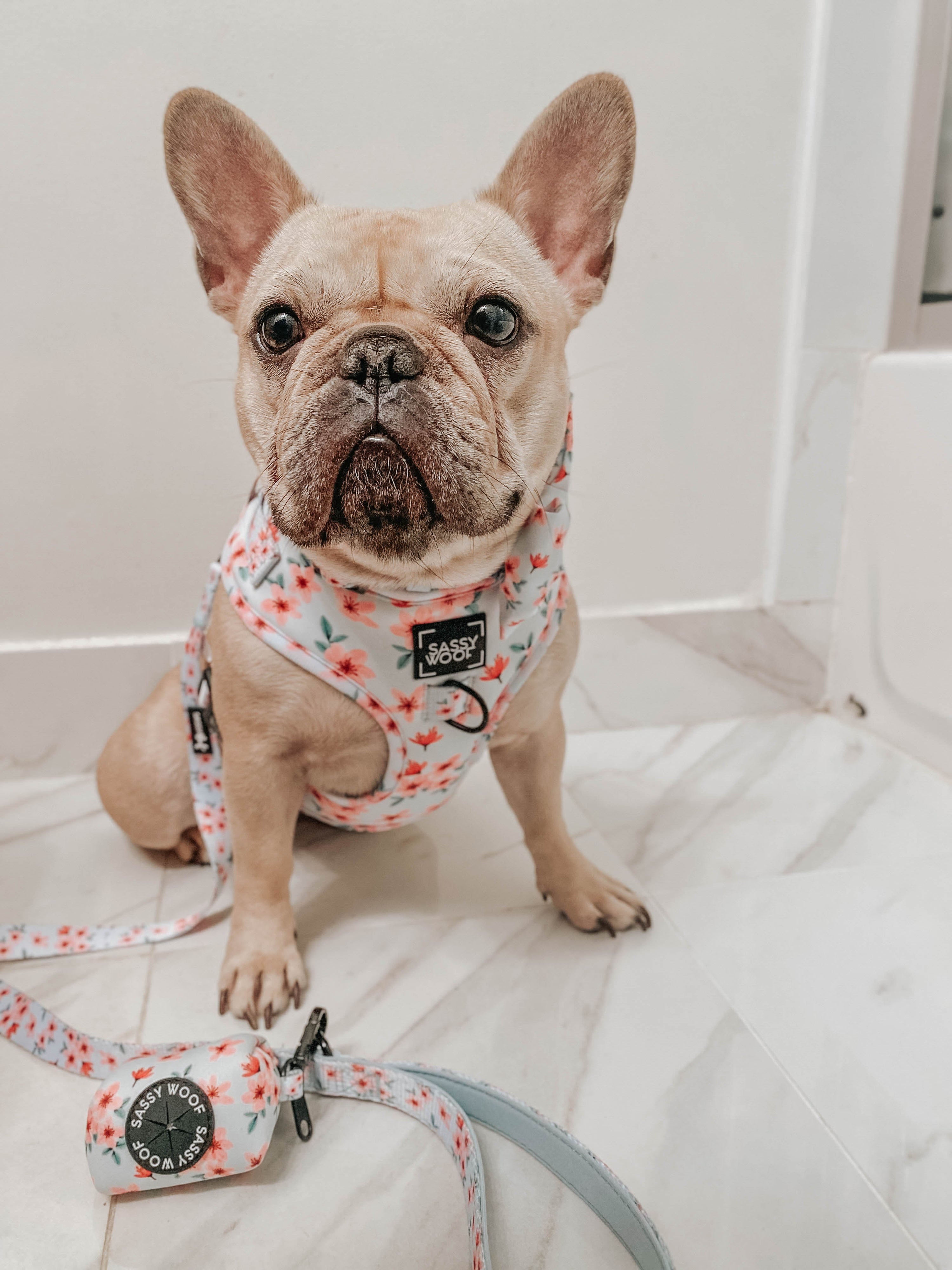 Dog Adjustable Harness - Sakura
