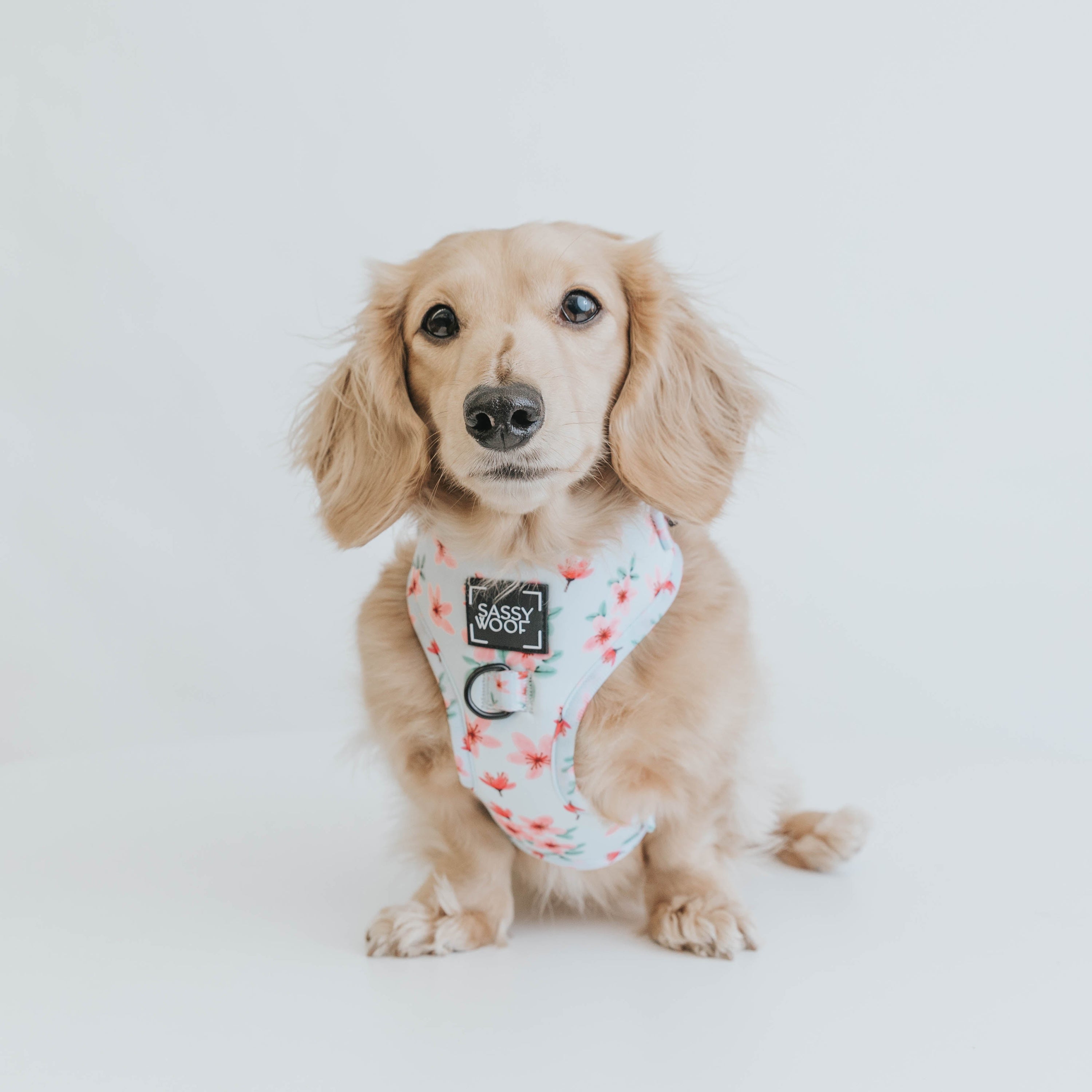 Dog Adjustable Harness - Sakura
