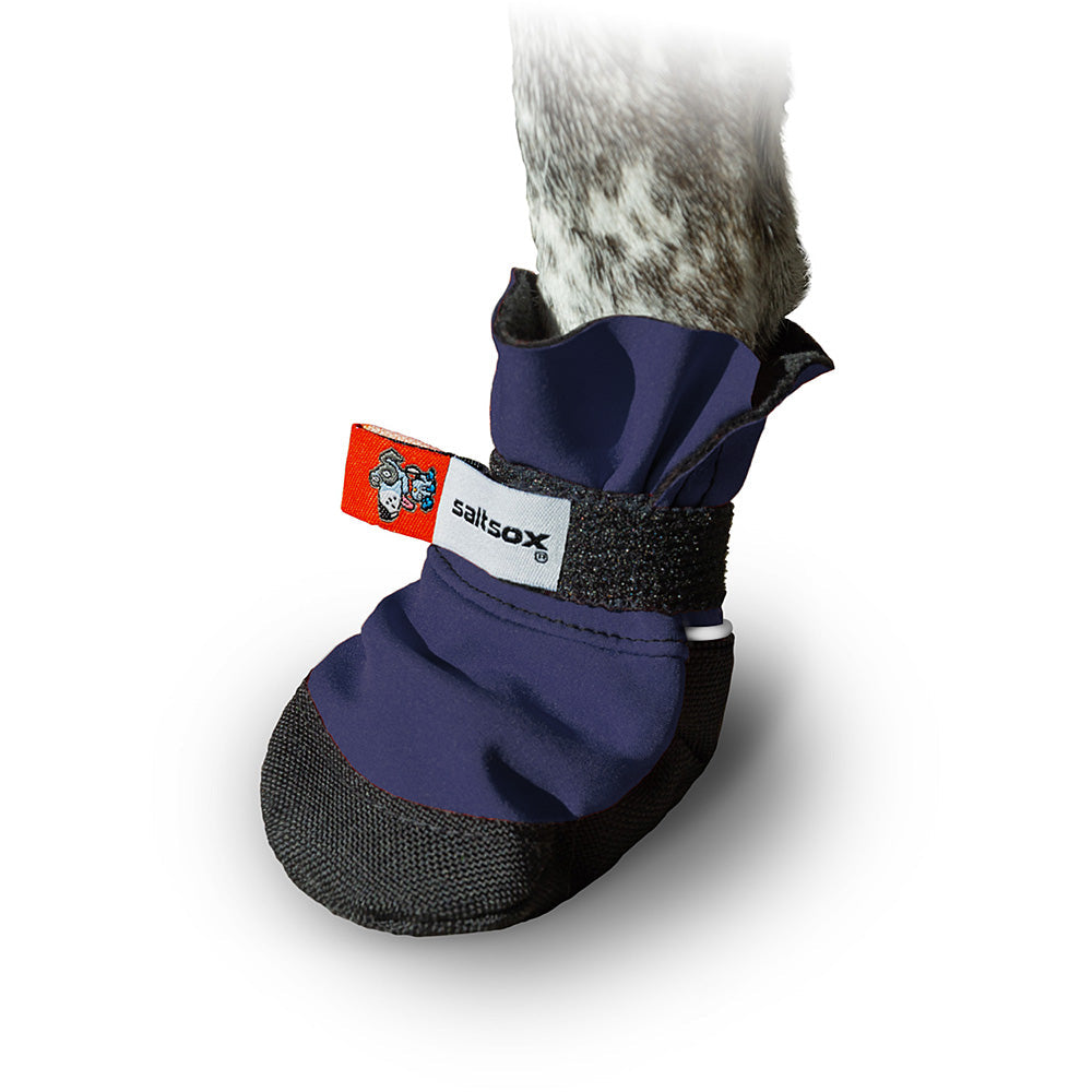 Saltsox 2025 / Winter Night Blue