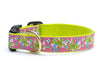 Up Country Pink Palms Cast Brass Dog Collar