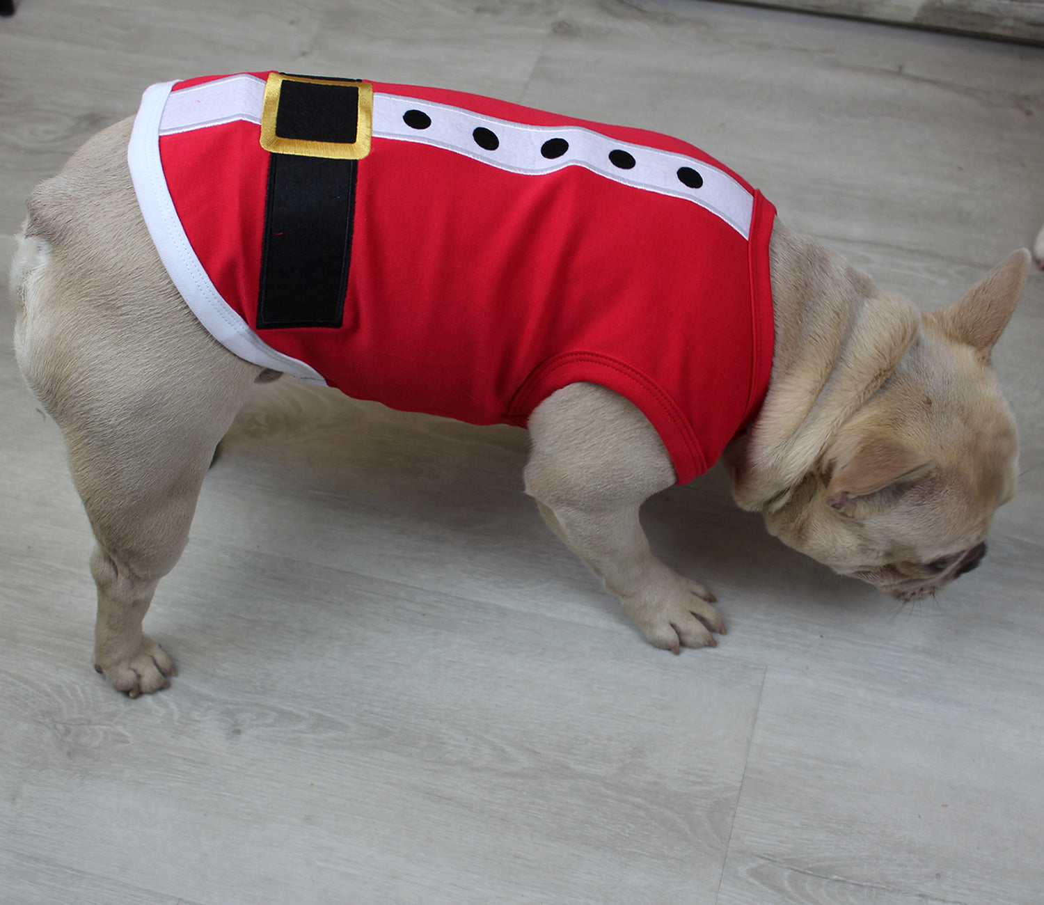 Parisian Pet SantaDog Shirt - Christmas Pet Apparel for Holiday Cheer, Red