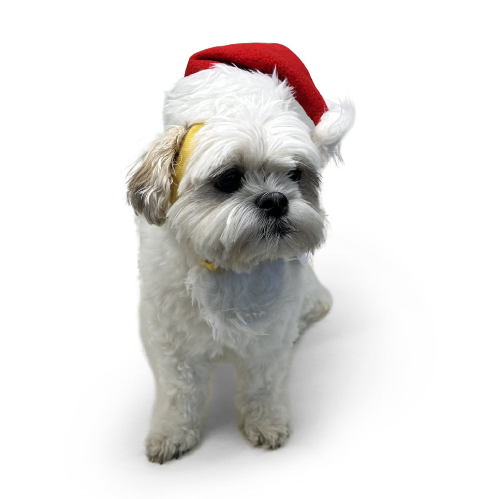 DOGO Santa Dog Costume Hat