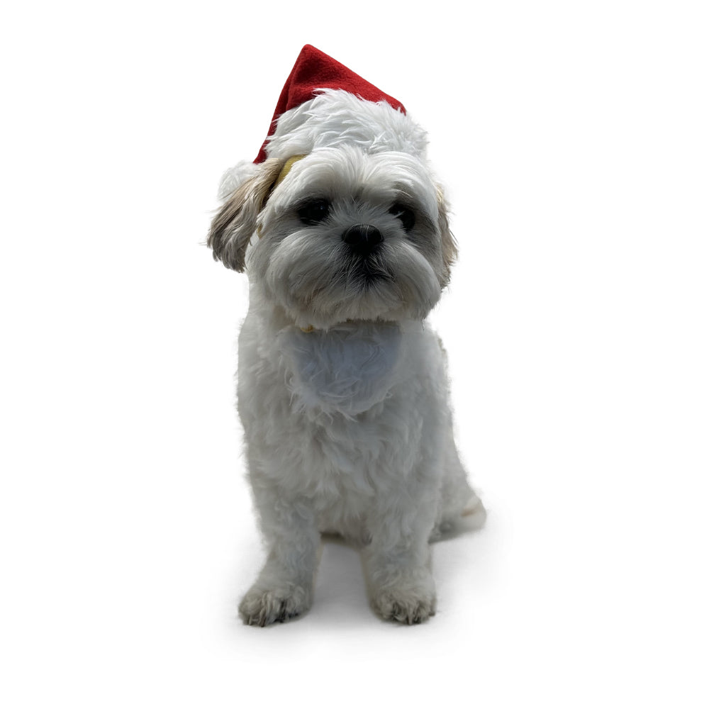 DOGO Santa Dog Costume Hat