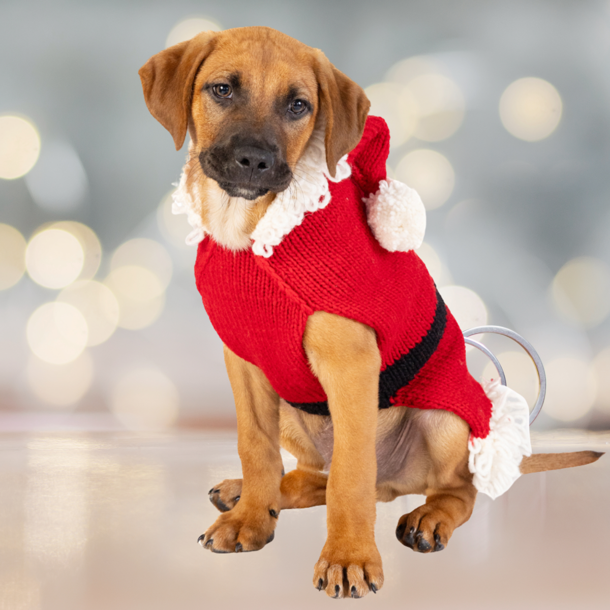 Chilly Dog Santa Wool Dog Sweater