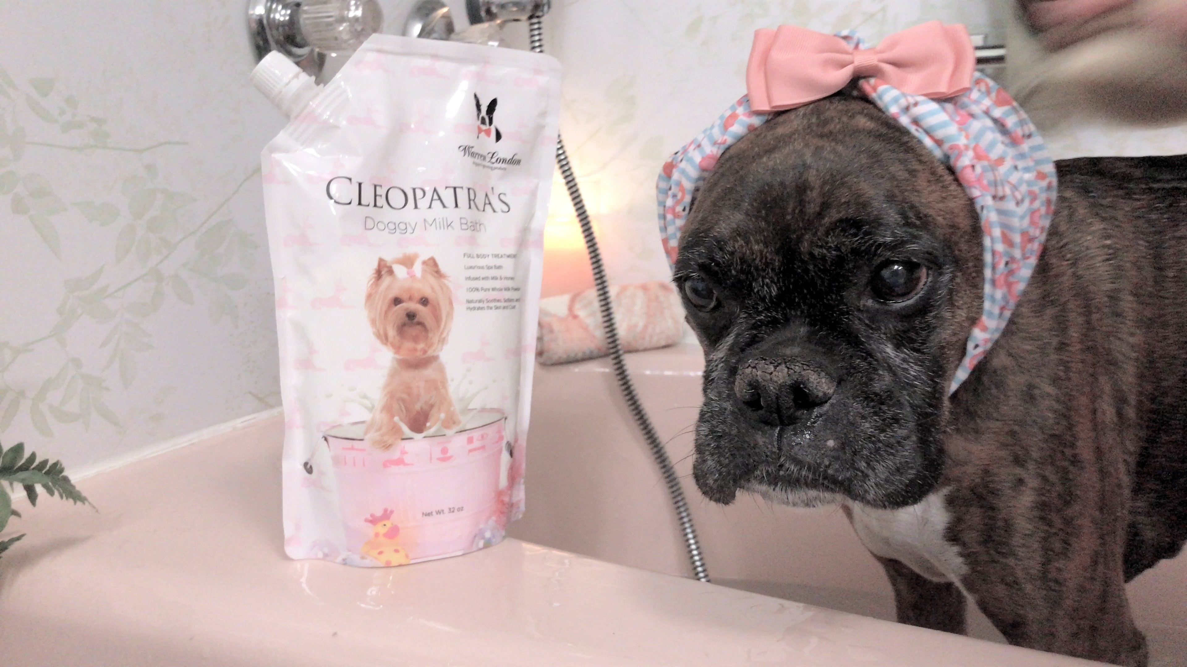Cleopatras Doggy Milk Bath