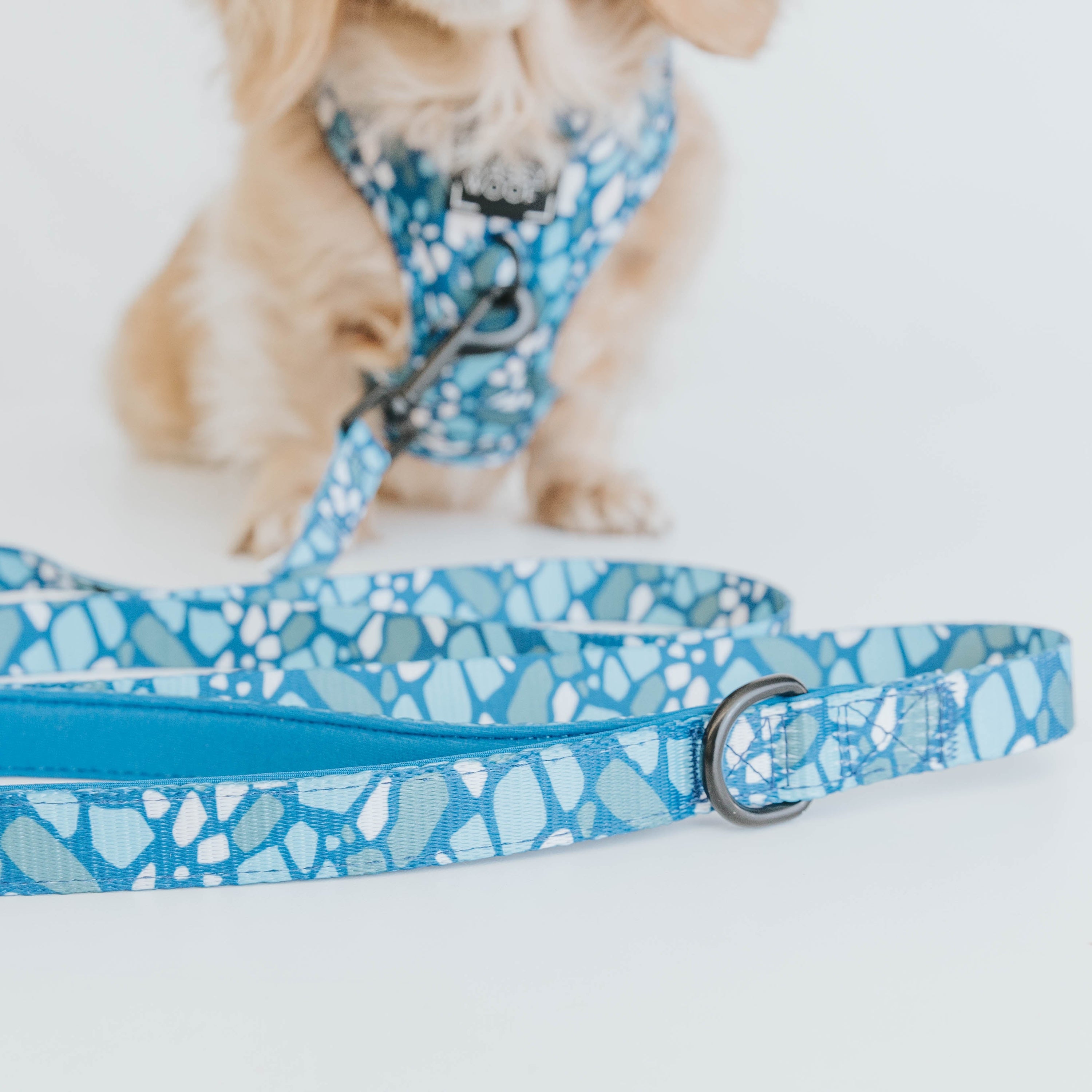 Dog Leash - Santorini