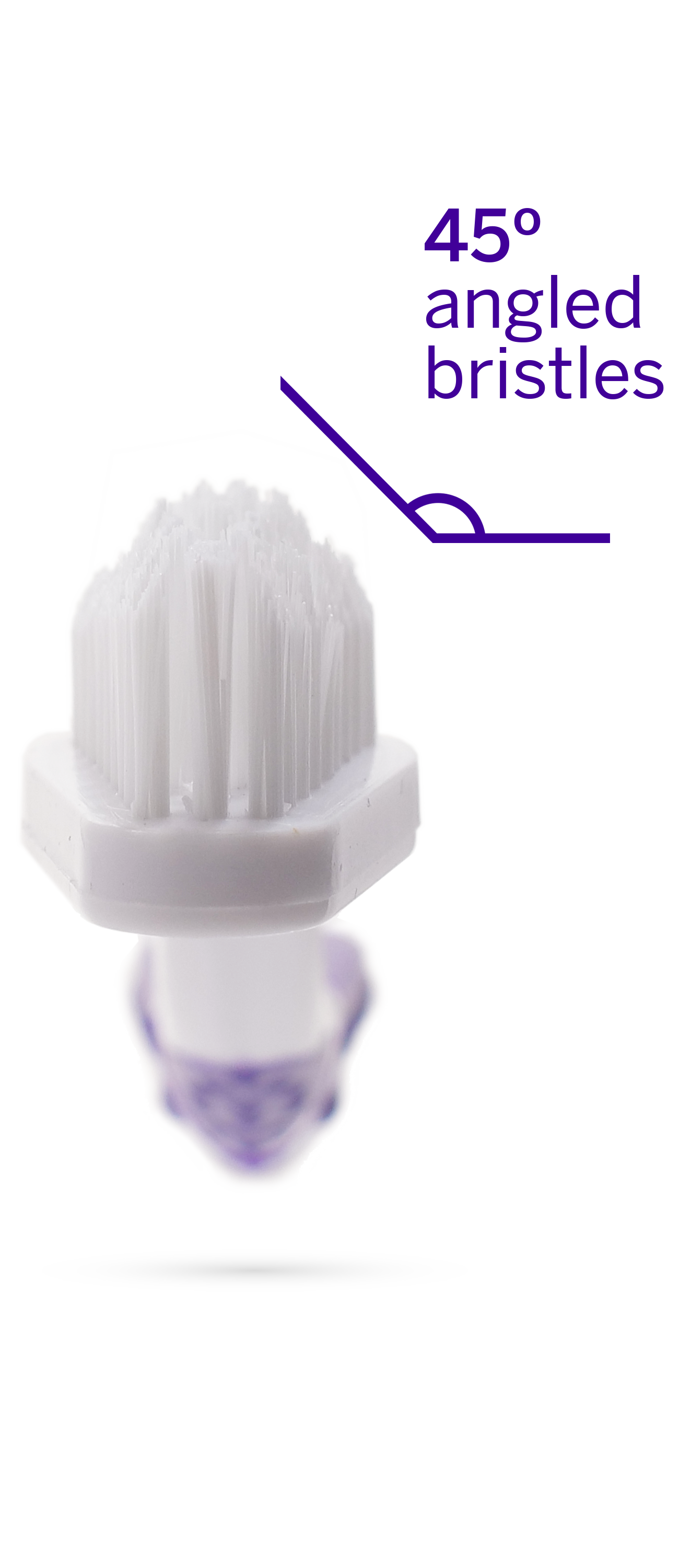 Professional Toothpaste Say Cheese Large & Professional Pet Toothbrush