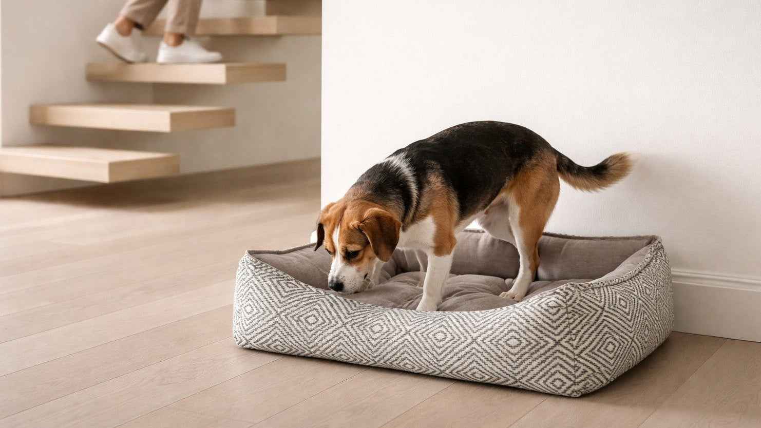 Bowsers Scoop Bolster Dog Bed Bolster Dog Bed - Easy-Entry Bolster Support