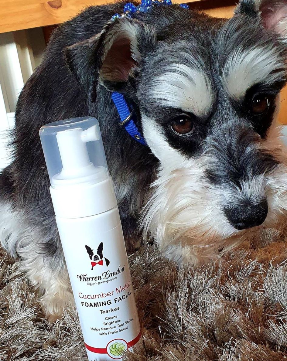 Cucumber Melon Foaming Facial For Dogs - HT Animal Supply