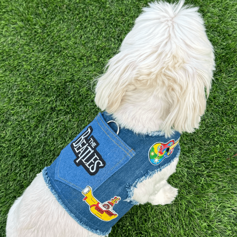 Heads or Tails Pup Fab Four Denim Dog Harness