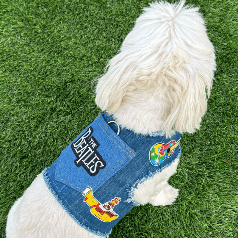Fab Four Harness