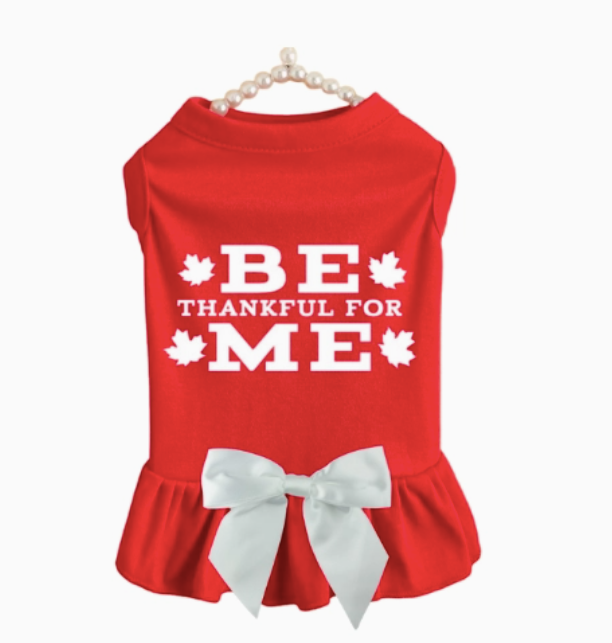 Be Thankful for Me Harvest Ruffle Dog Dress