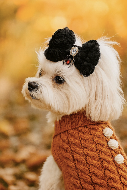 Bark 5th Ave., LLC Wicked Whisper Dog Hair Bow pet supplies