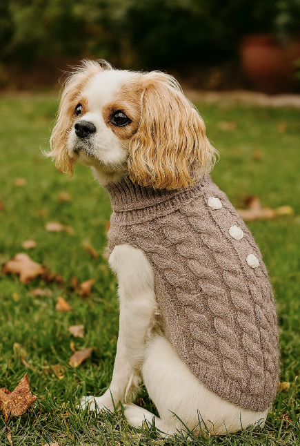 Pumpkin Pie Pearl Knit Dog Sweater