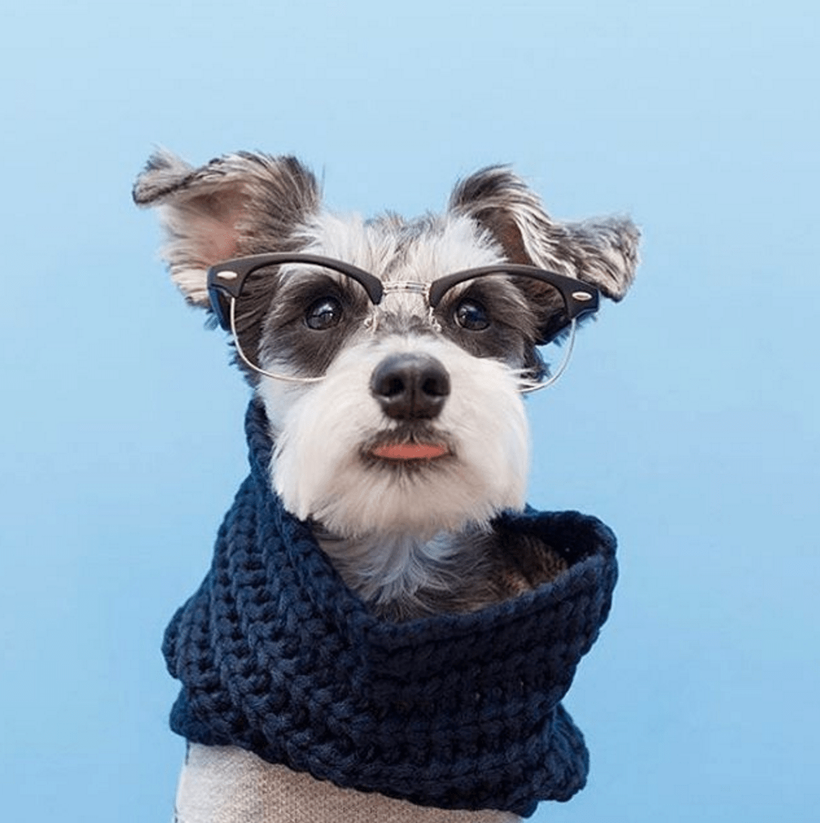Navy Infinity Scarf 