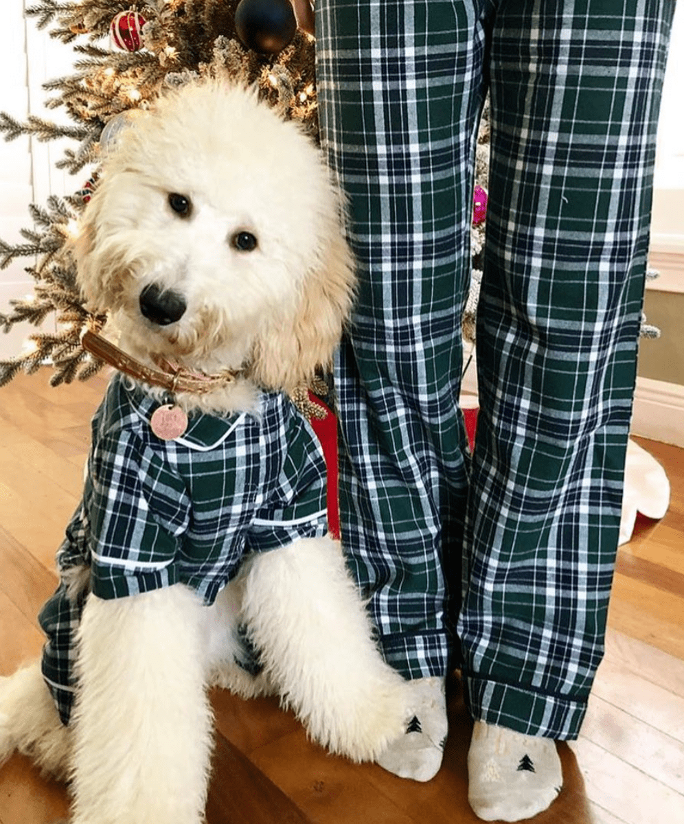 Green Plaid Flannel Matching Human Pajamas 