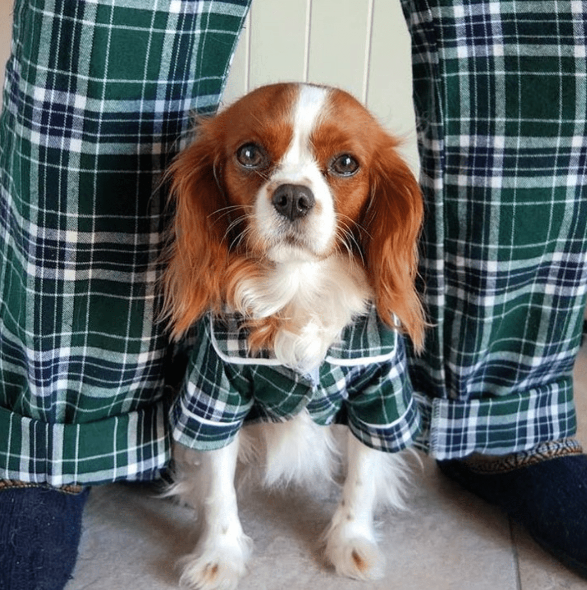 Green Plaid Flannel Matching Human Pajamas 