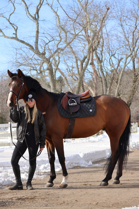 San Eligius Black Ice jump saddle pad with black leather piping, lifestyle shot on horse