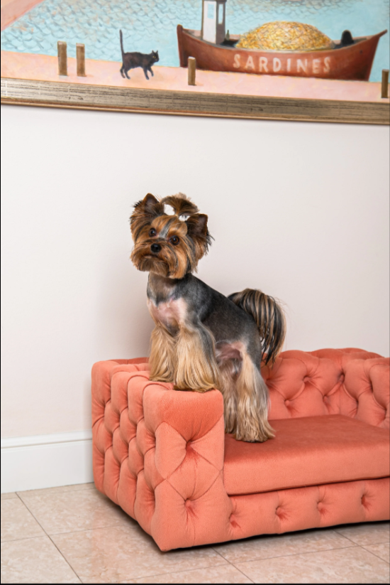 The Glamour Luxury Pet Bed in Yellow