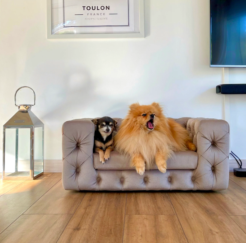 The Glamour Luxury Pet Bed in Pink