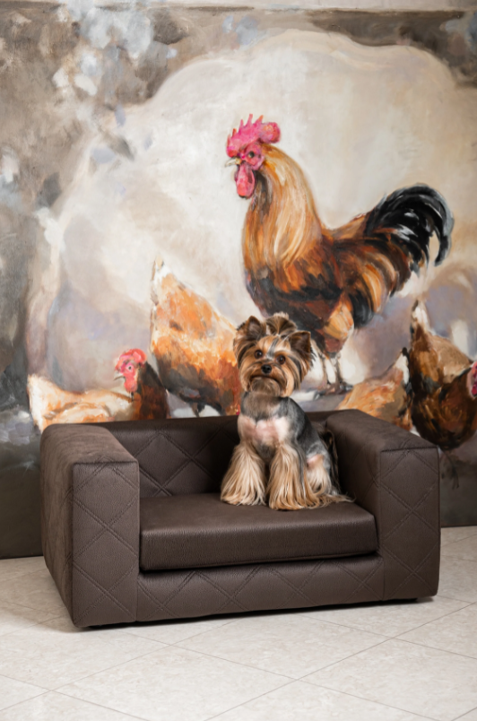 The Mystique Luxury Pet Sofa Bed