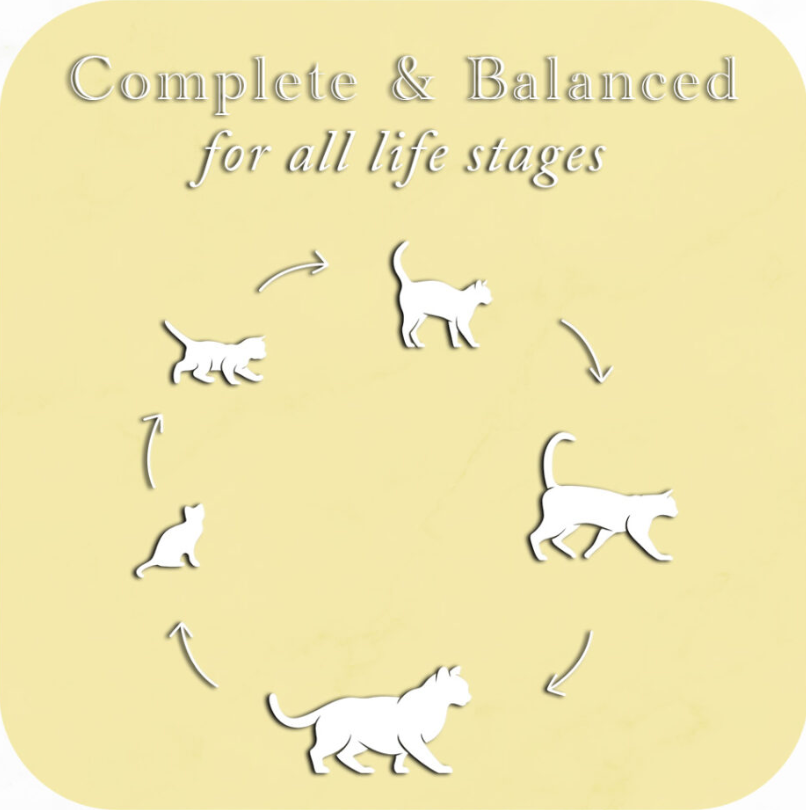 Fussie Cat Fine Dining - Pate - Chicken Entree in gravy (2.82oz)