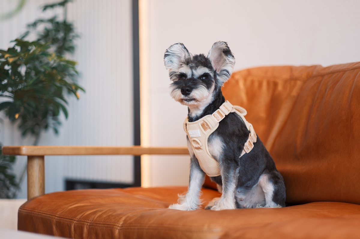 No Pull Active Pet Harness-Apricot