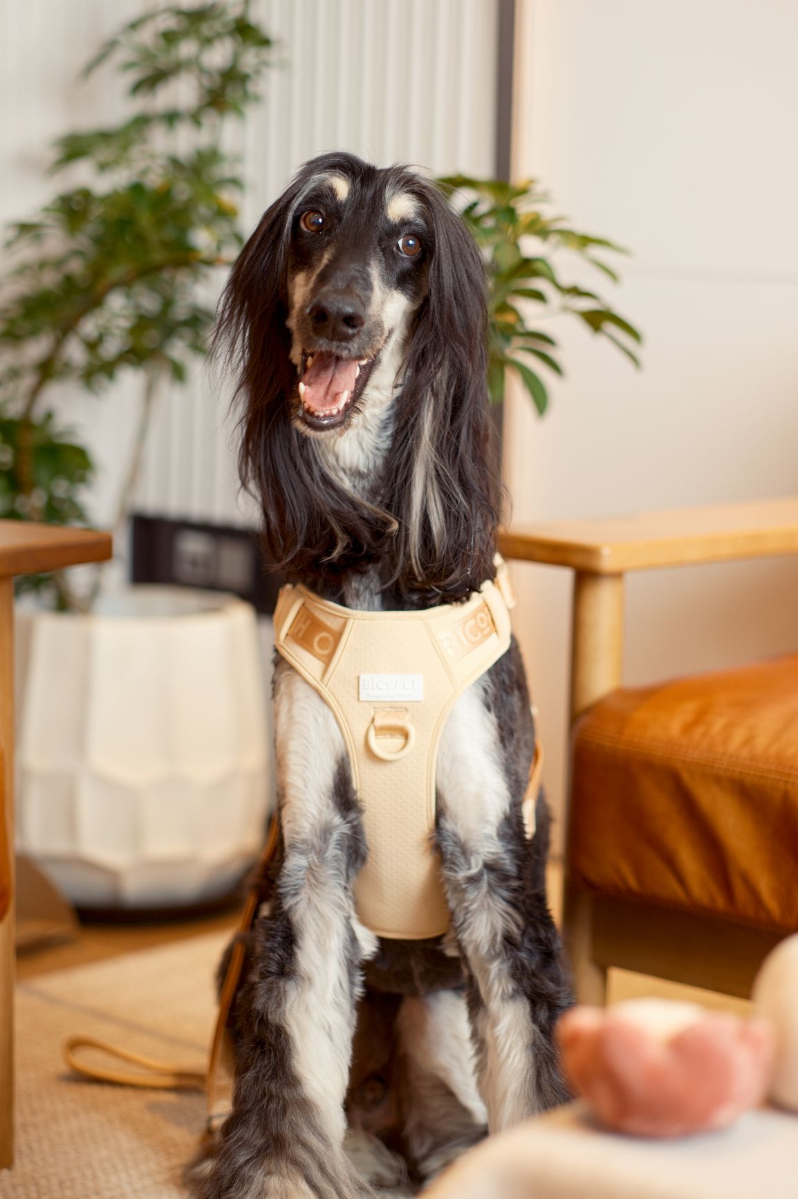 No Pull Active Pet Harness-Apricot