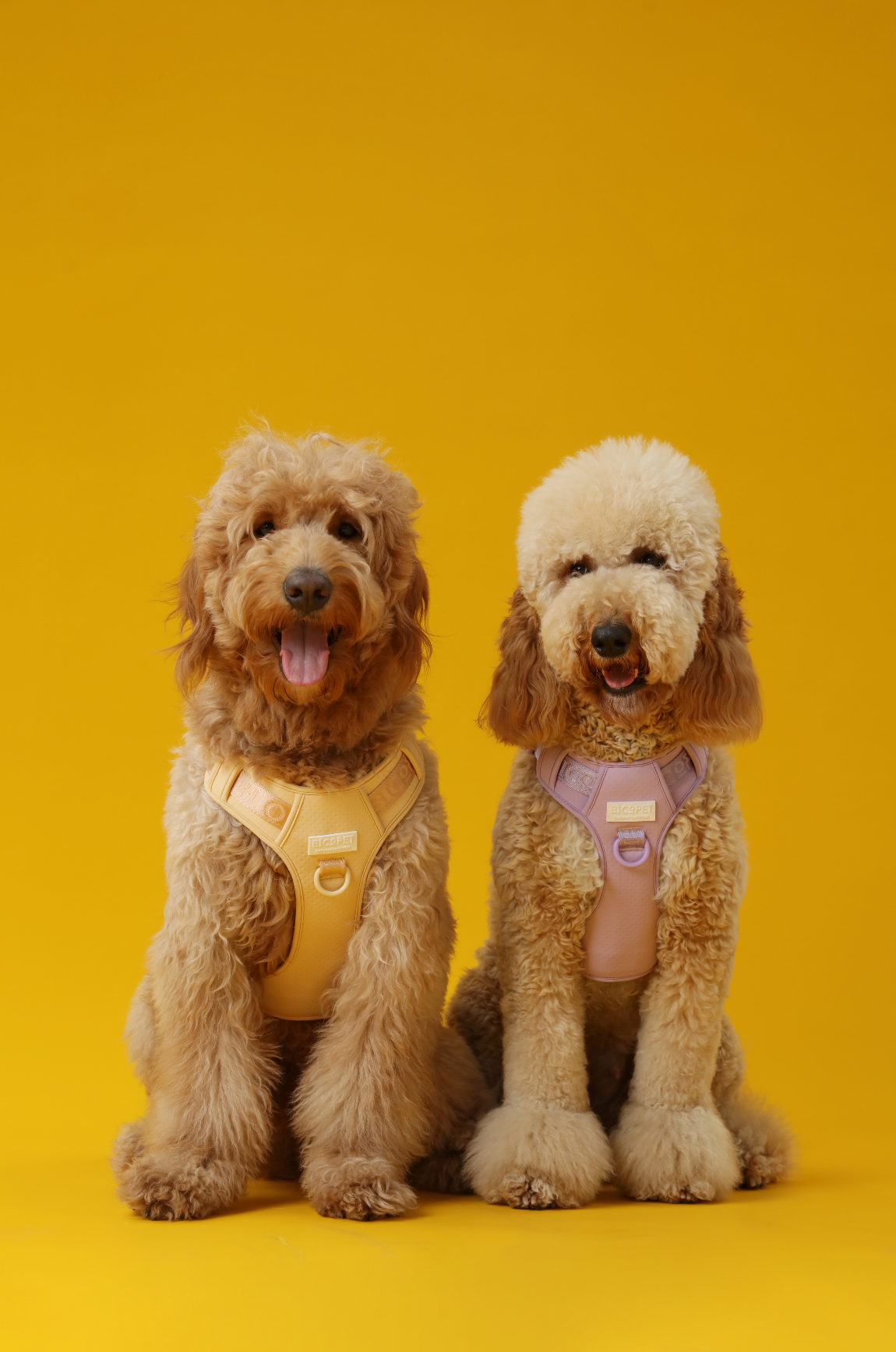 No Pull Active Pet Harness-Apricot