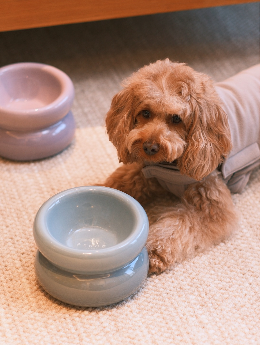 Souffle Pet Bowl-Frozen Blue