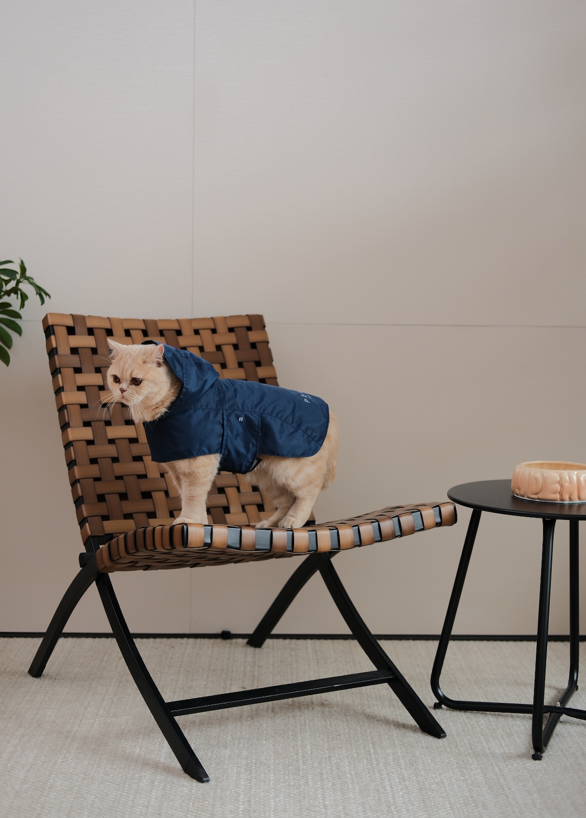 Capsule Raincoat-Blue