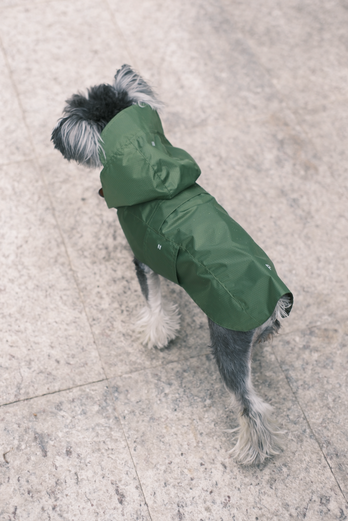 Capsule Raincoat-Blue