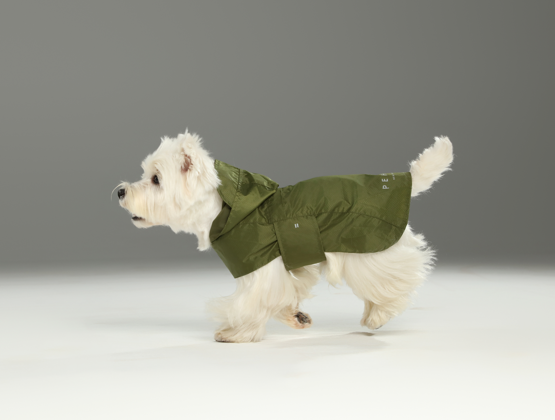 Capsule Raincoat-Green