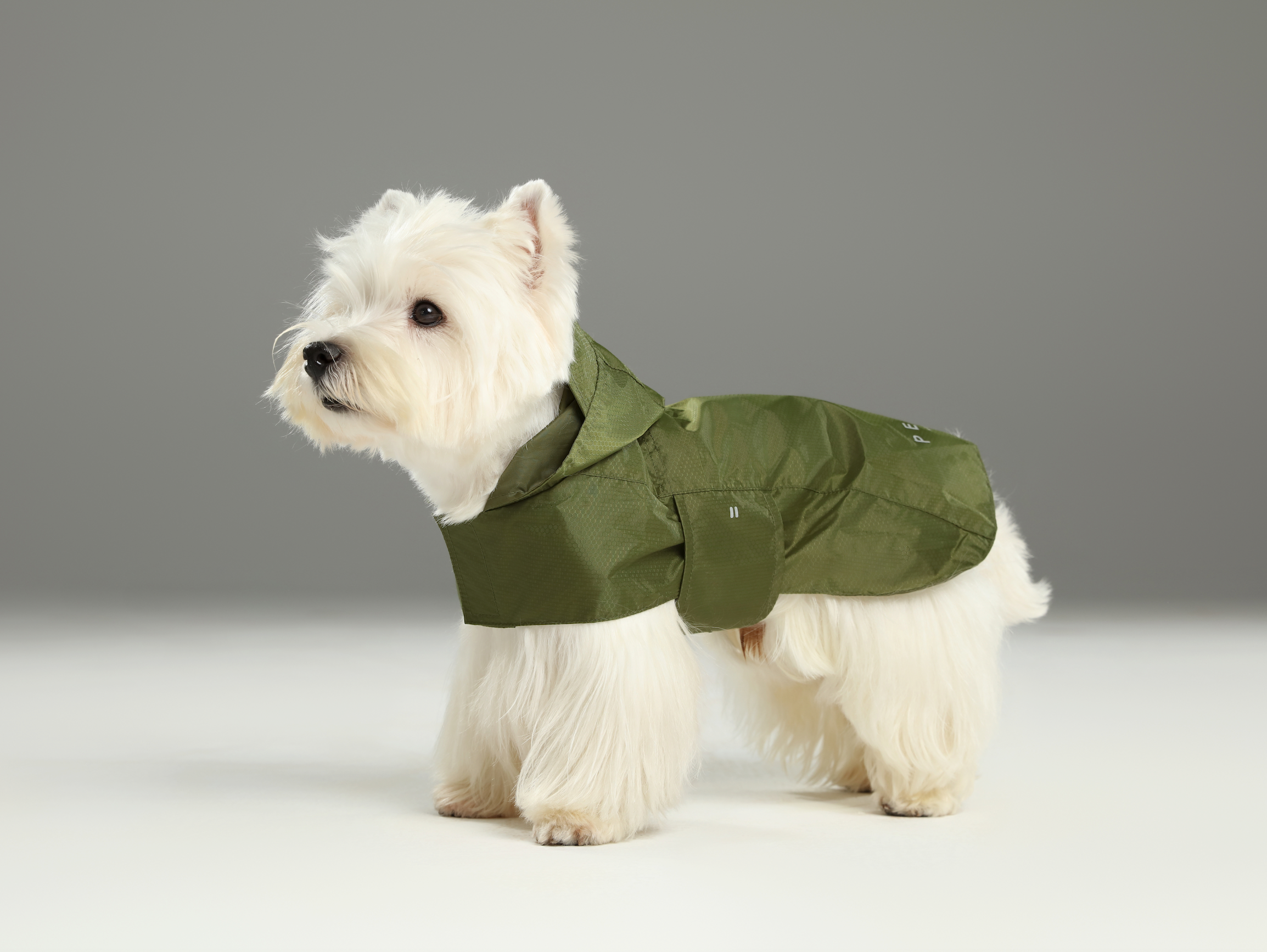 Capsule Raincoat-Green