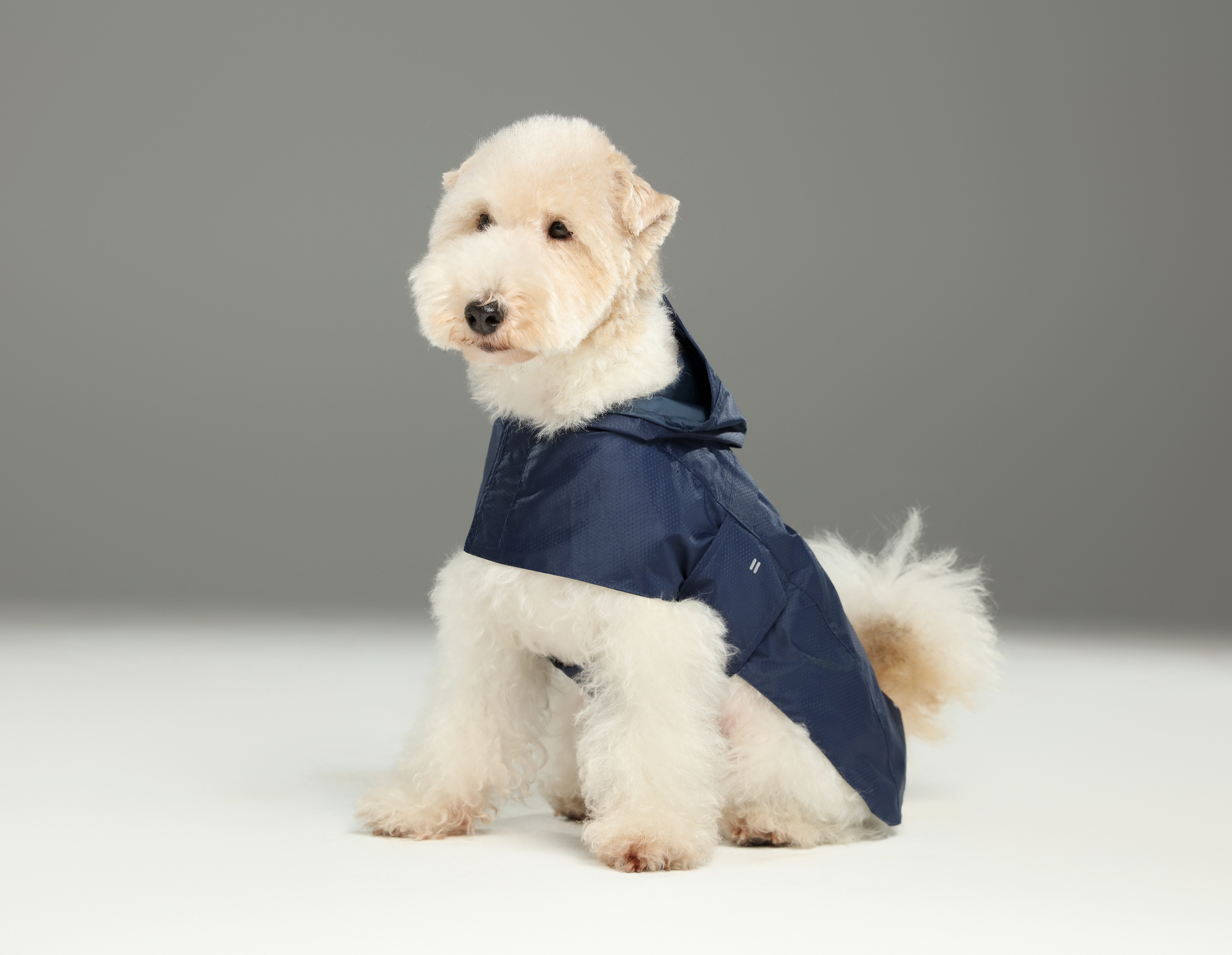 Capsule Raincoat-Blue