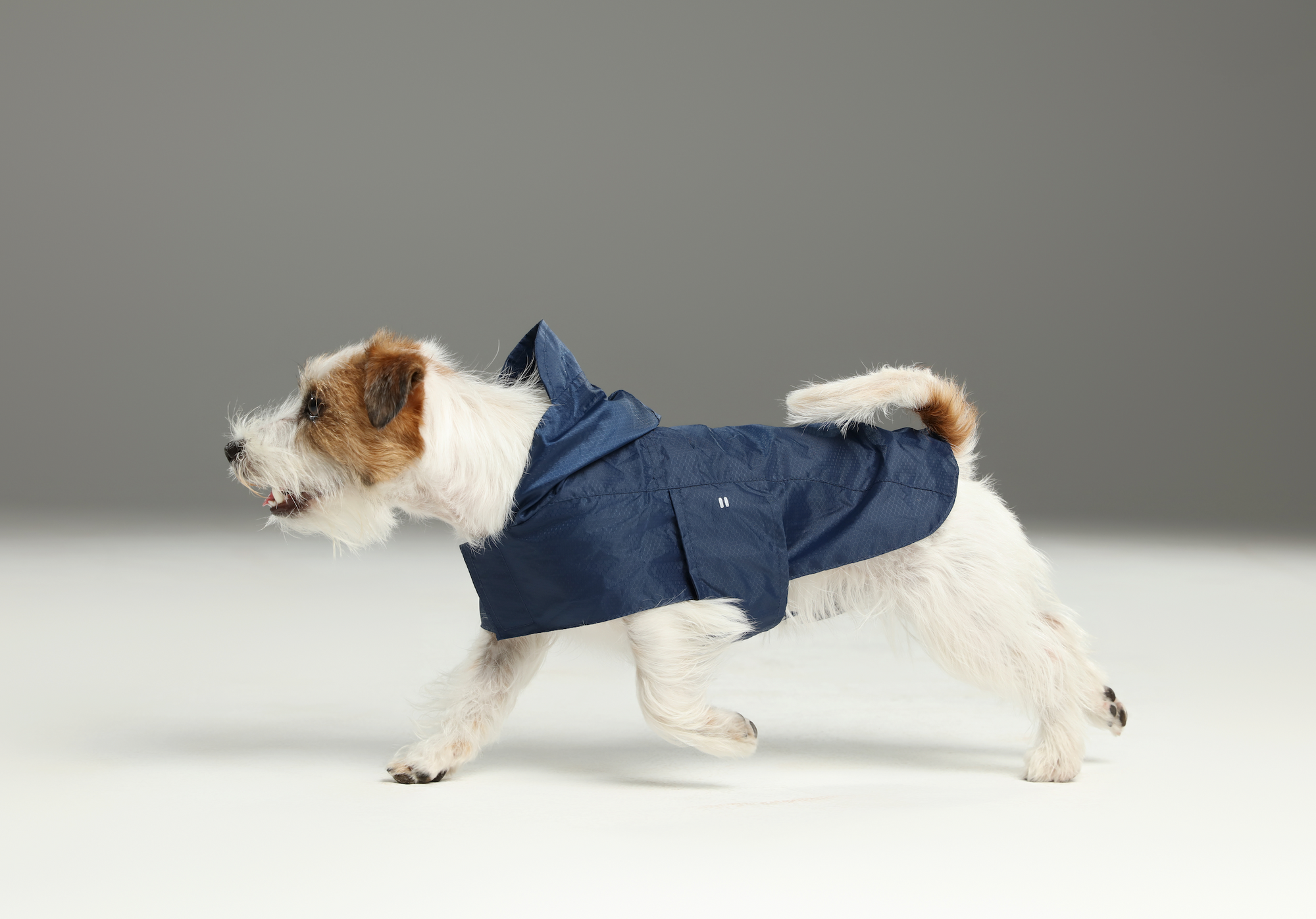 Capsule Raincoat-Blue