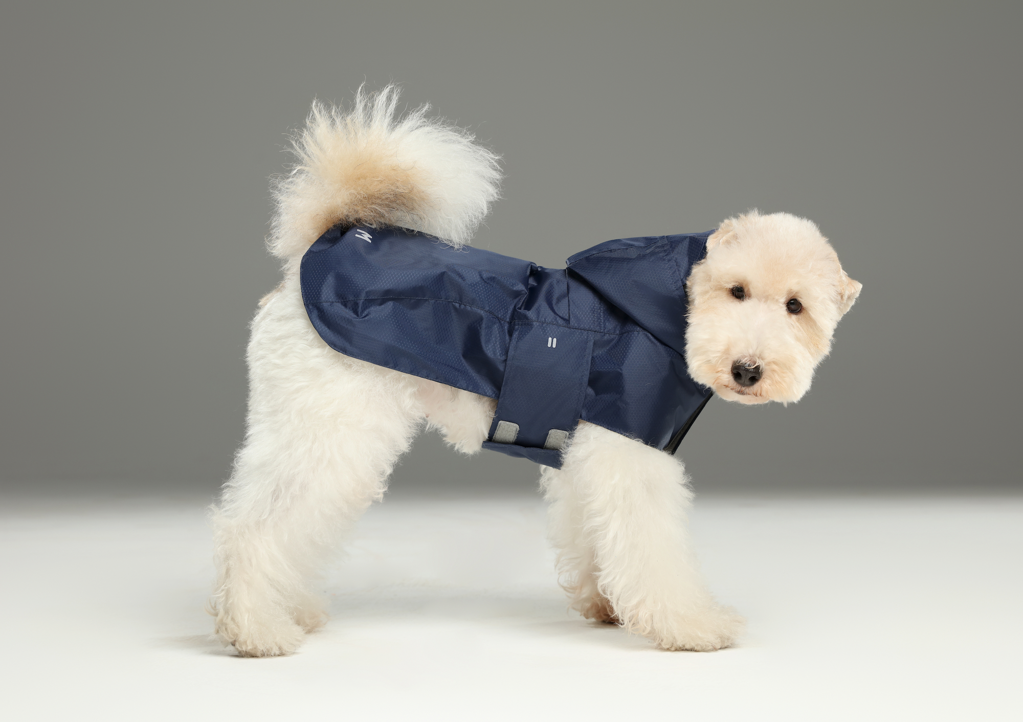 Capsule Raincoat-Blue