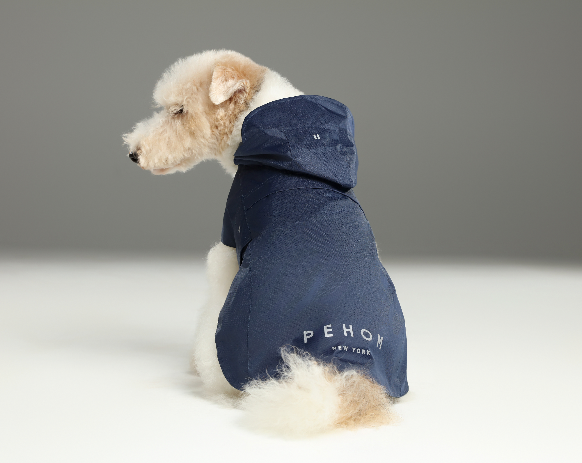Capsule Raincoat-Blue