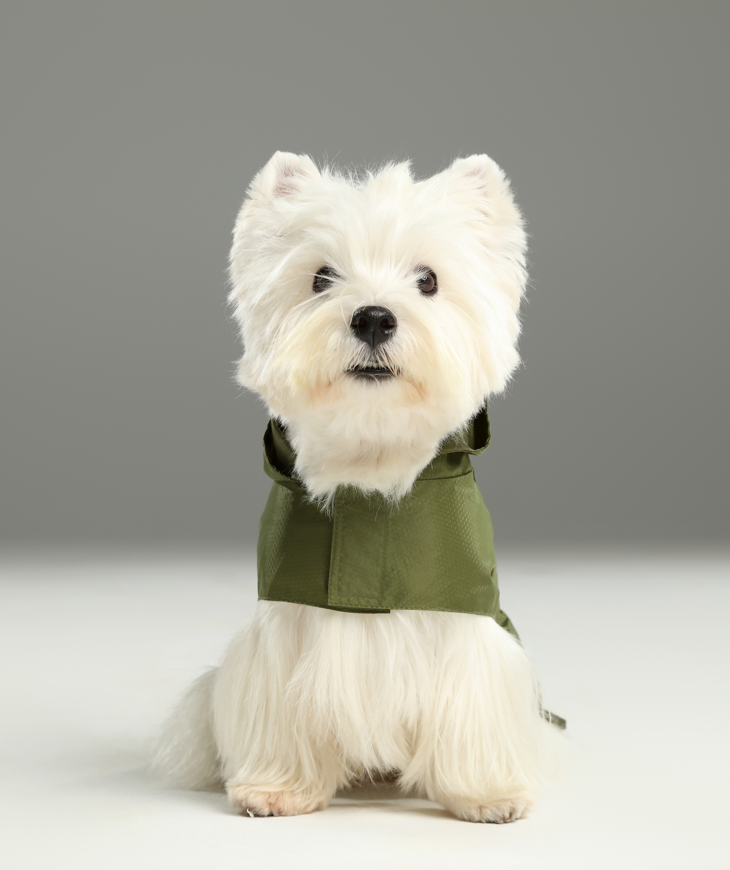 Capsule Raincoat-Green