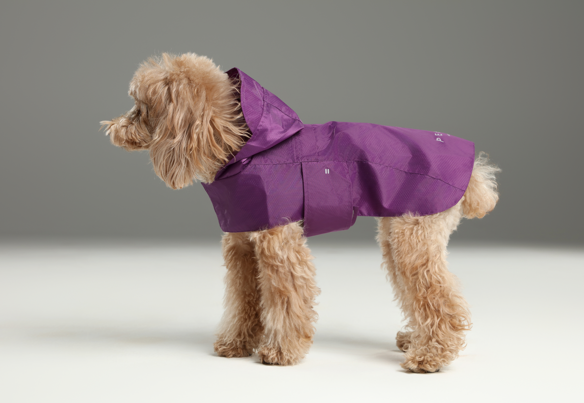 Capsule Raincoat-Purple
