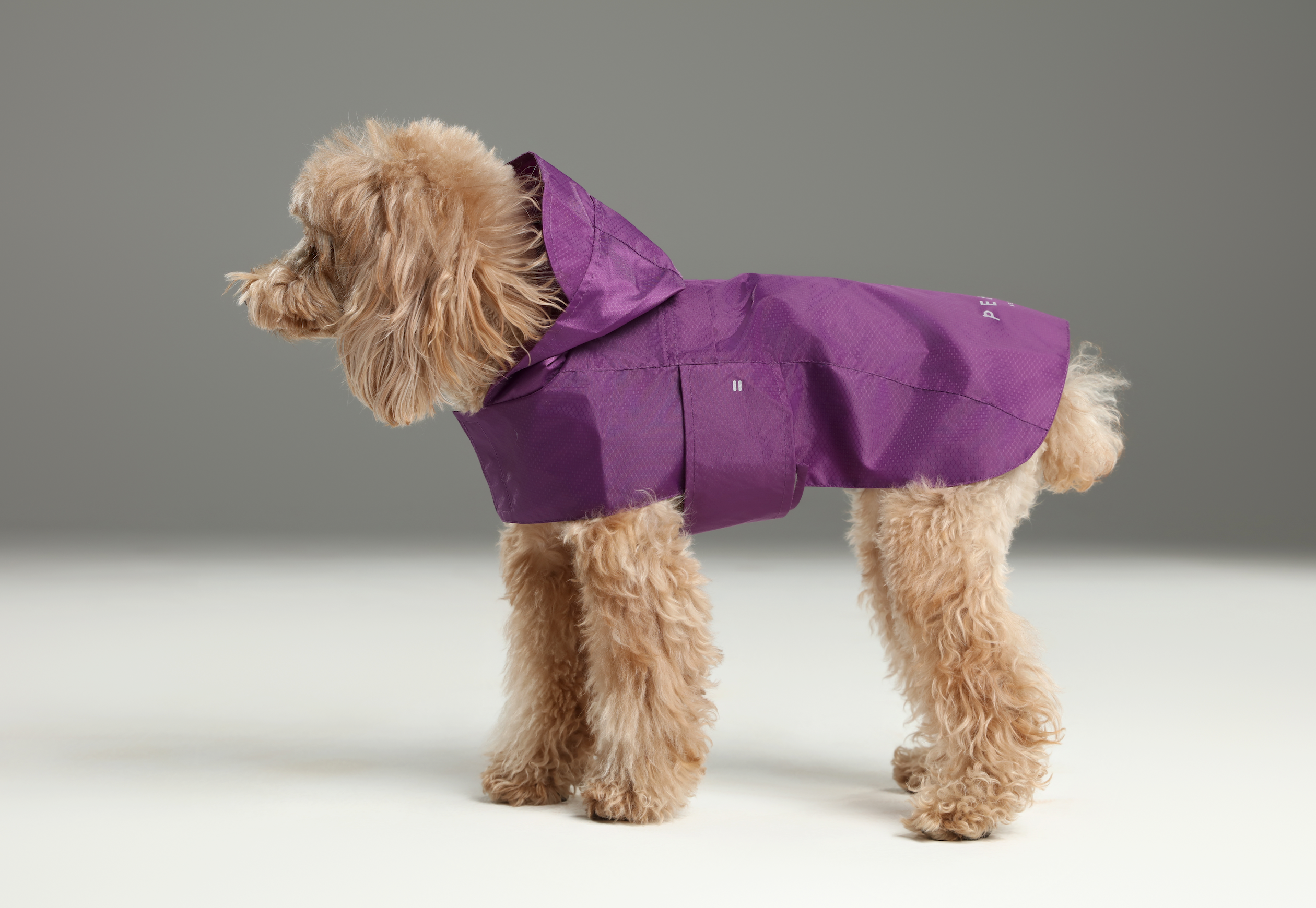 Capsule Raincoat-Purple