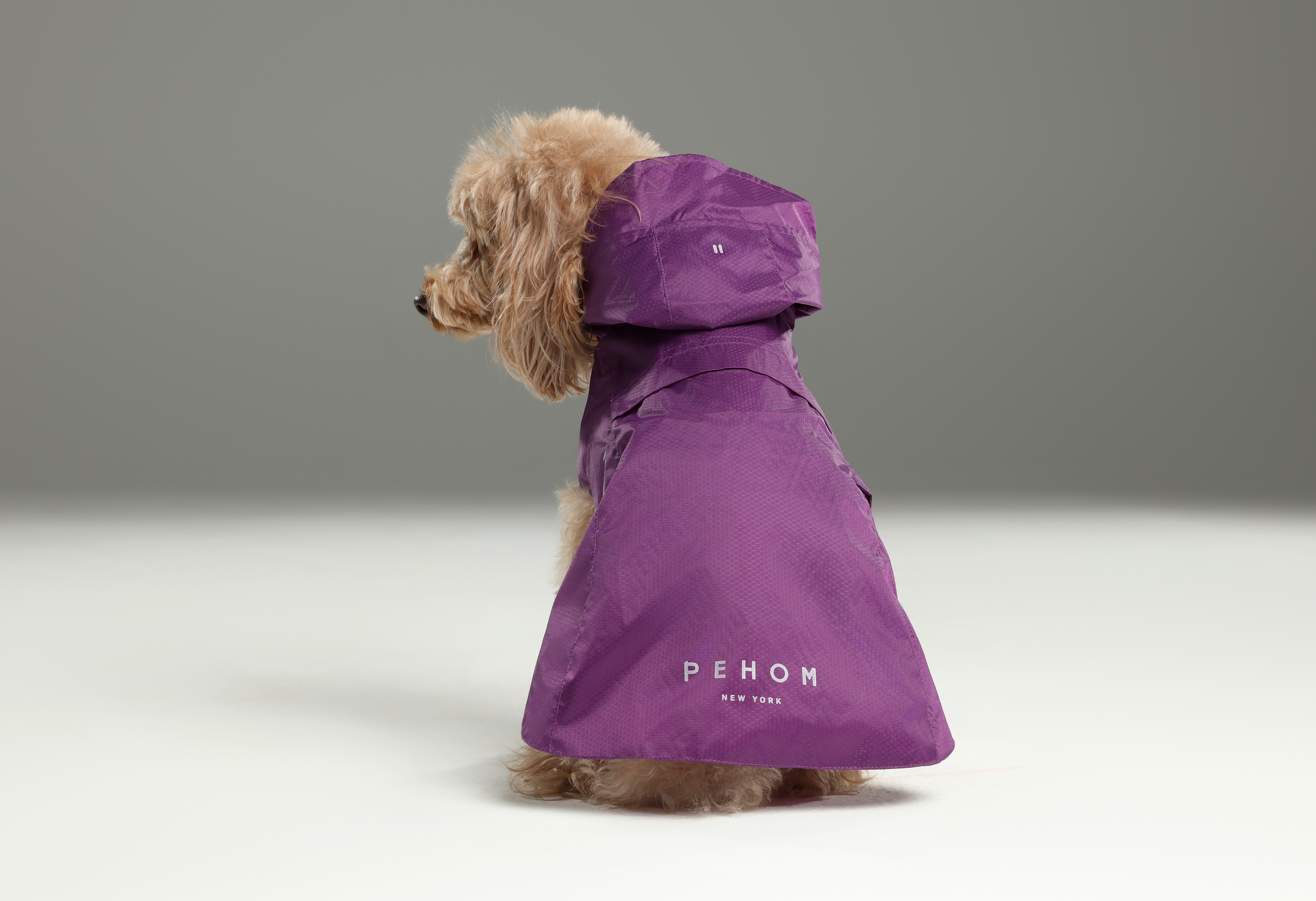 Capsule Raincoat-Purple
