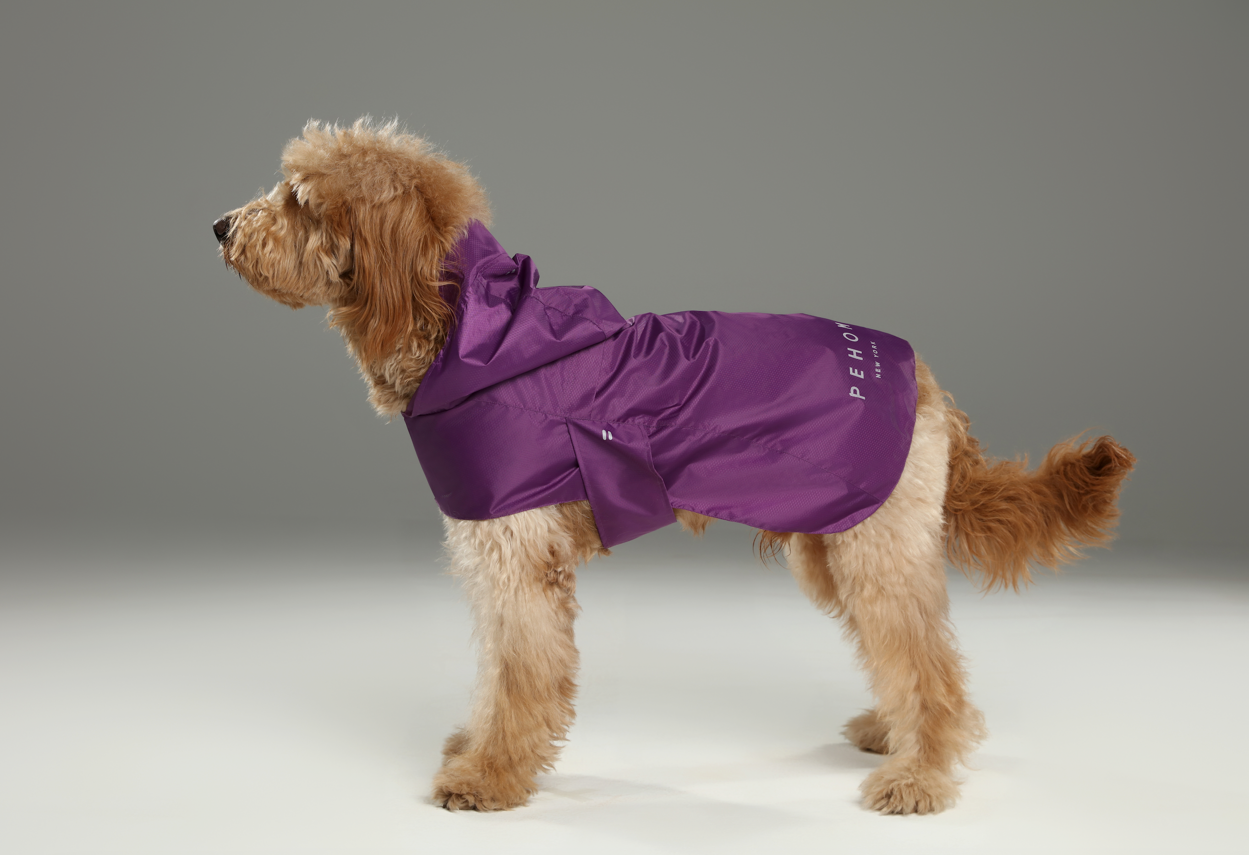 Capsule Raincoat-Purple