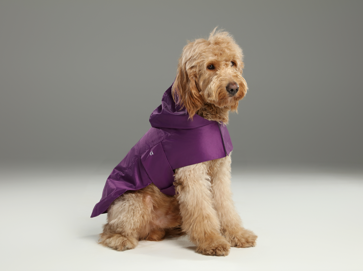 Capsule Raincoat-Purple